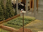 DSCF0750.JPG