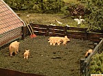 DSCF0756.JPG